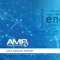 AMP Annual Report Cover Photo